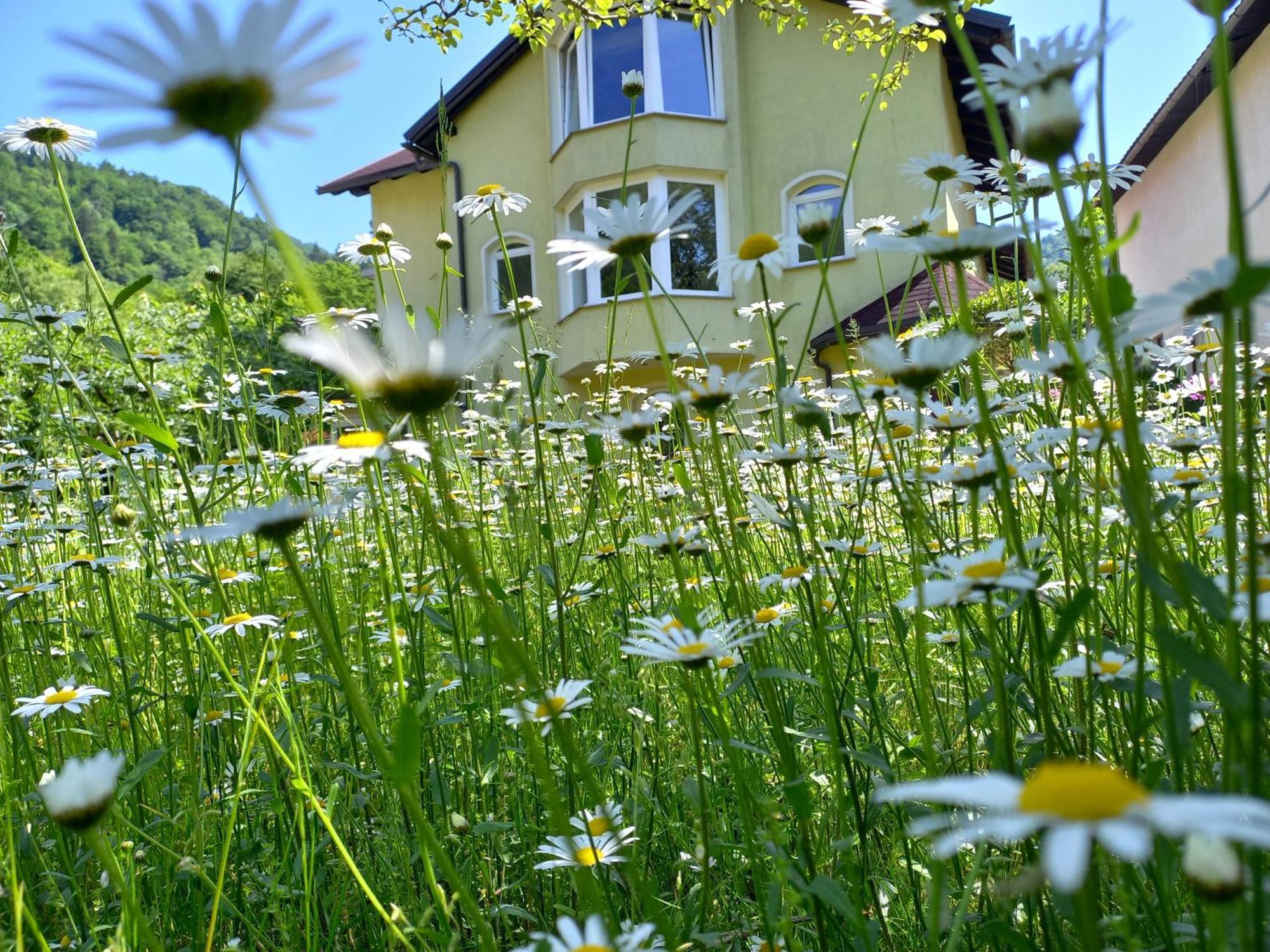Riverside Villa Avo - Apartment Sara Spodnja Idrija Quarto foto